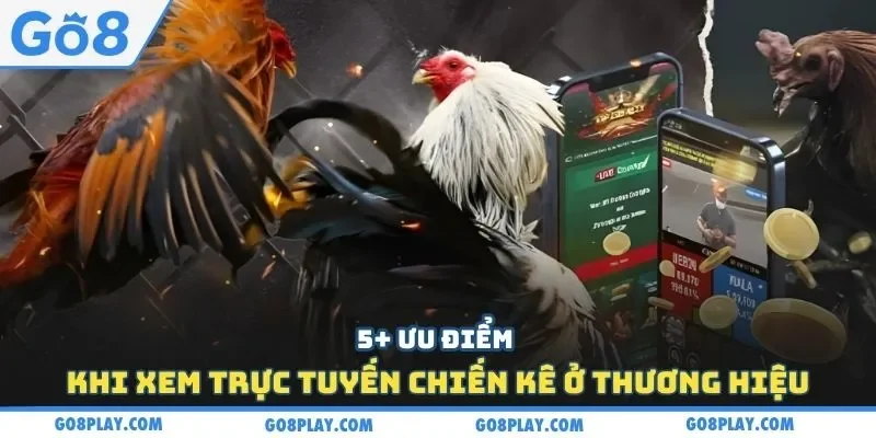 5+ ưu điểm khi xem trực tuyến chiến kê ở thương hiệu