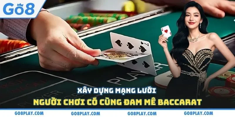 Xây dựng mạng lưới người chơi có cùng đam mê baccarat