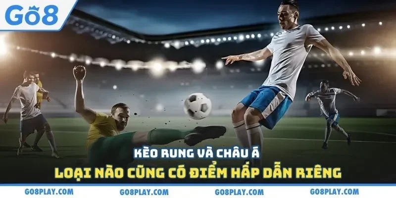 Kèo rung và châu Á loại nào cũng có điểm hấp dẫn riêng
