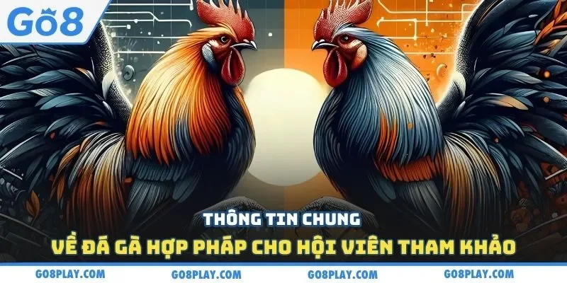 Thông tin chung về đá gà hợp pháp cho hội viên tham khảo