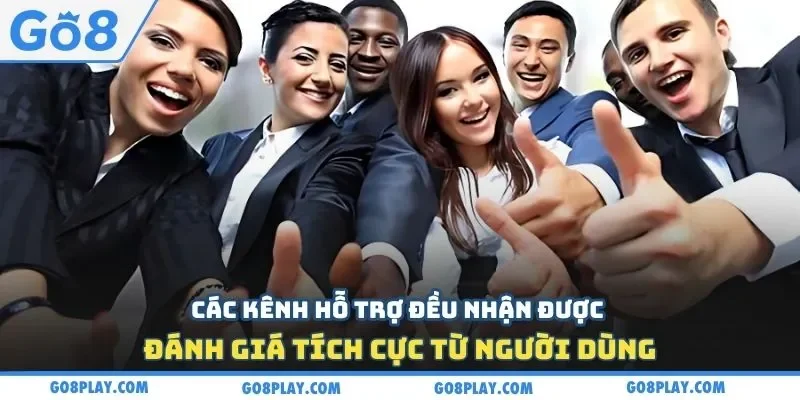 Các kênh hỗ trợ đều nhận được đánh giá tích cực từ người dùng